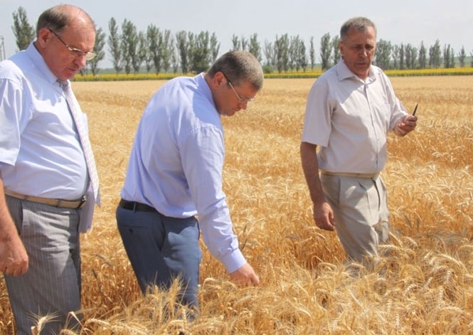 Експорт українського зерна призупинився