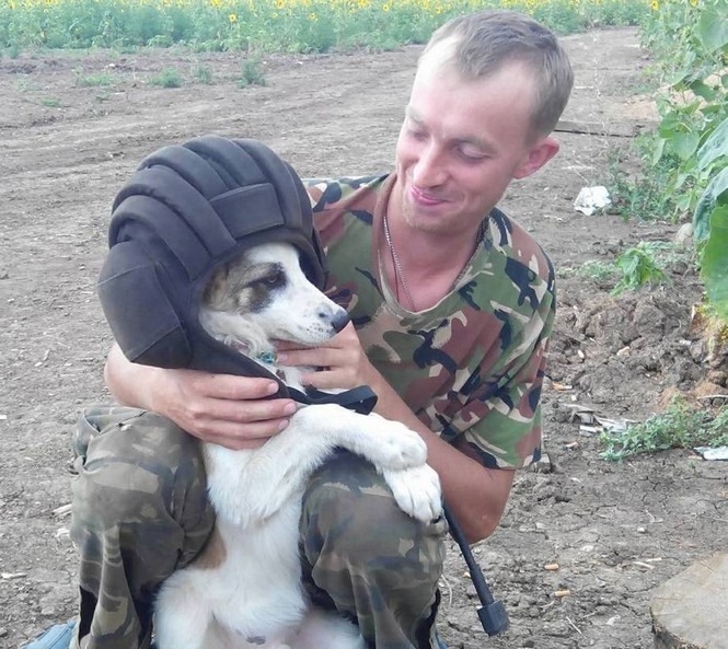 Тварини, які стали справжніми побратимами у війні на Донбасі
