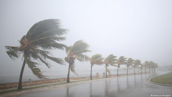 На Кубі евакуювали 11 тис осіб у зв'язку з ураганом 