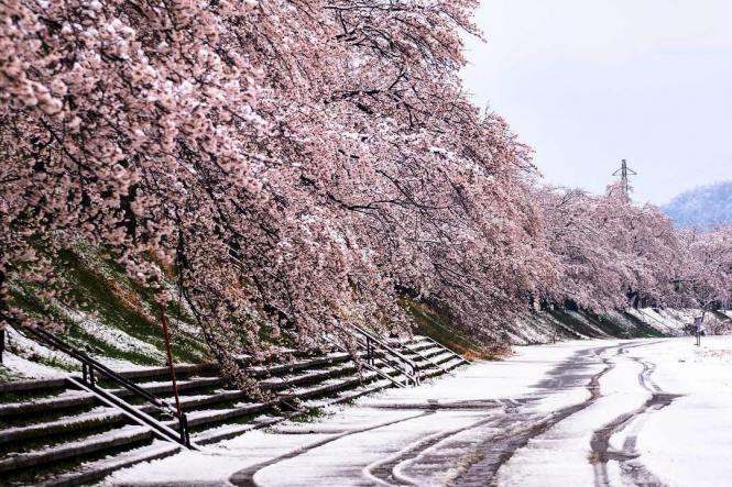 На берегу Японского моря впервые за 17 лет выпал апрельский снег, - ФОТО