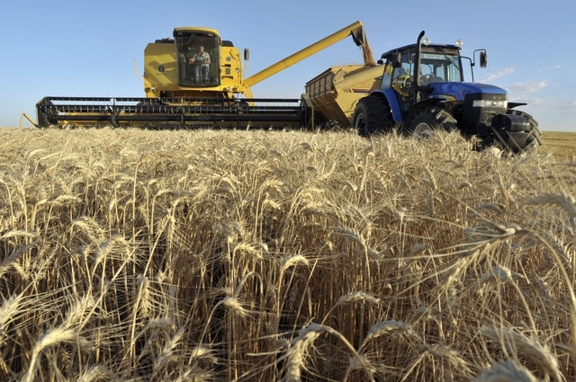 Пшениця та кукурудза різко подорожчали після нового обстрілу рф Одеського порту