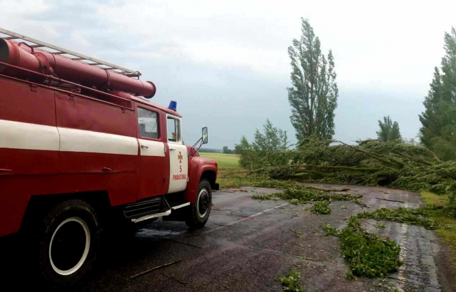 На Рівненщині повалені через буревій дерева заблокували 11 кілометрів дороги, – ФОТО