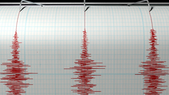 В Японии ложное предупреждение о землетрясении вызвало панику