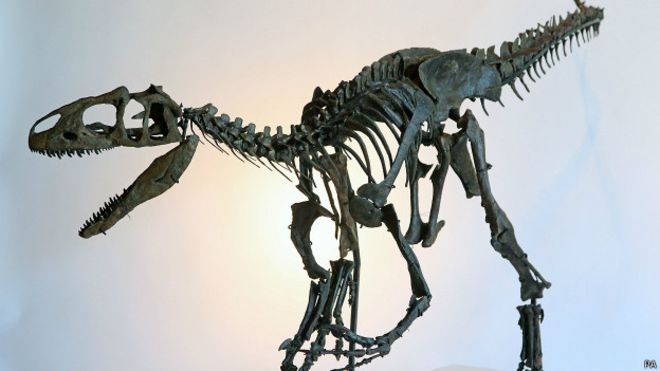 На аукціоні в Парижі іноземець придбав два скелети динозаврів за $2 млн