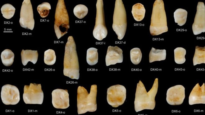 У Китаї знайшли зуби, які свідчать про набагато ранішу міграцію Homo sapiens ніж вважалося досі