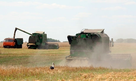 Україна встановила рекорд по експорту зернових