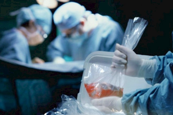 Минздрав объявил тендер для создания Единой государственной информационной системы трансплантации