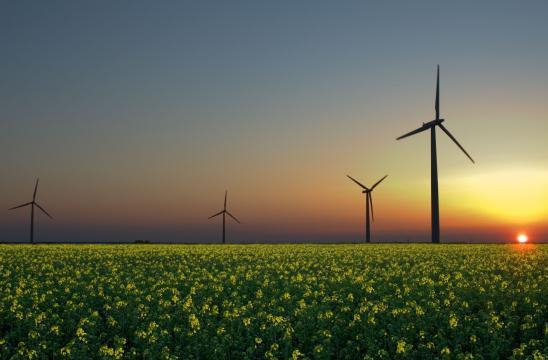 Три украинских города планируют полностью перейти на возобновляемую энергетику