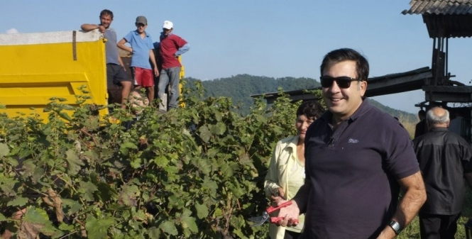 Європейські міністри робили вино на дачі Саакашвілі