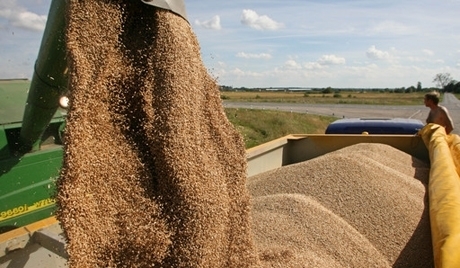 Україна скоротила експорт зерна вперше за п'ять років