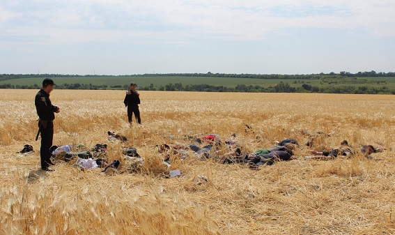 Рейдерське захоплення ферми на Кіровоградщині: поліція побилася з ветеранами АТО