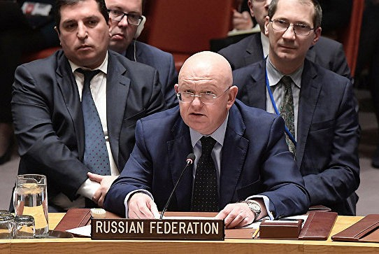 Росія в Радбезі ООН: вибори на окупованому Донбасі обумовлені 