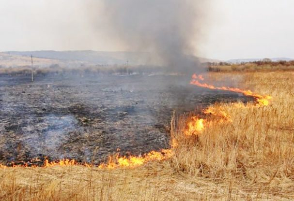 На Харківщині палають десять гектарів Вовчанського лісгоспу