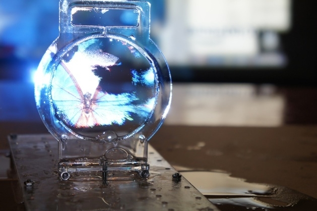 3D дисплей з мильної бульбашки (відео)