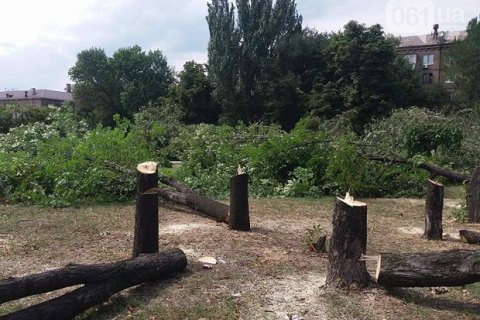 У Запоріжжі знищили сквер Яланського, спилявши 500 дерев
