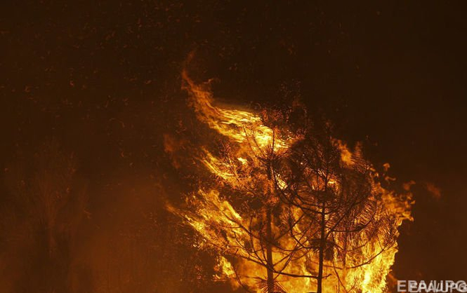 В течение минувших суток в Украине зафиксировано 555 пожаров на открытых территориях