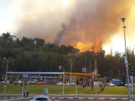 Порошенко поручил отправить украинские самолеты для тушения пожаров в Хайфе