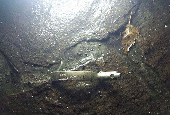 На подвір'я житлового будинку в Харкові кинули гранату