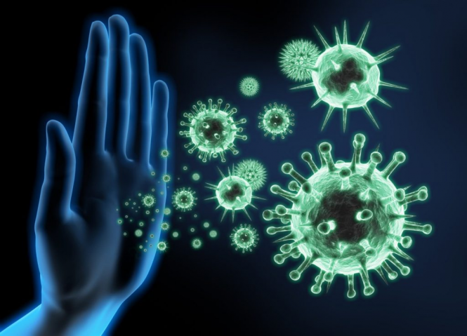 Как повысить иммунитет для борьбы с вирусами?