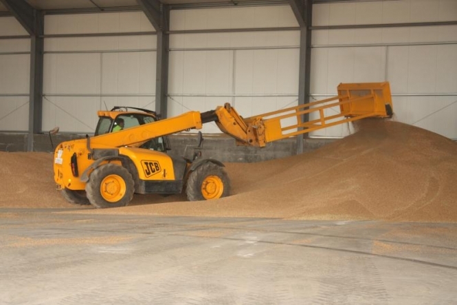 Україна вже у квітні може відновити експорт пшениці