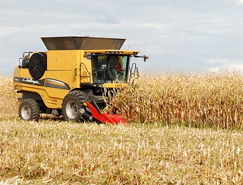 У 2013-му аграрії зароблятимуть на кукурудзі