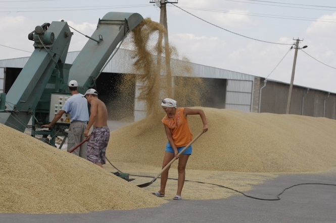 В Азарова обмежують експорт пшениці