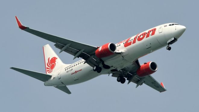Авіакатастрофа Boeing 737: На борту перебувало 20 індонезійських чиновників, - ЗМІ
