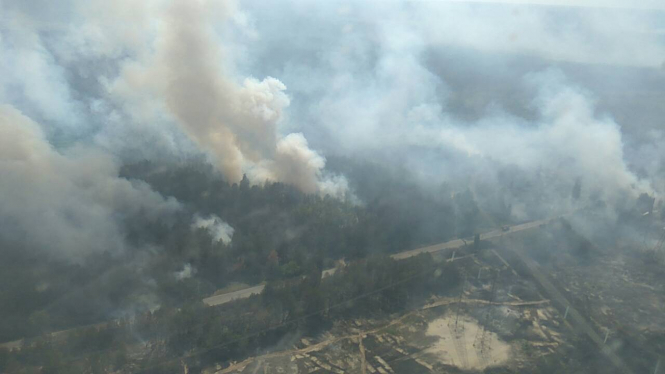 Масштабна пожежа в Чорнобильській зоні: горить близько 10 га лісу, - ОНОВЛЕНО
