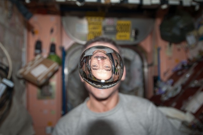 Як веселяться космонавти, або непросте і кумедне життя у невагомості 