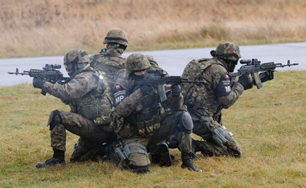 Россия просит НАТО объяснить увеличение сил нато в Восточной Европе