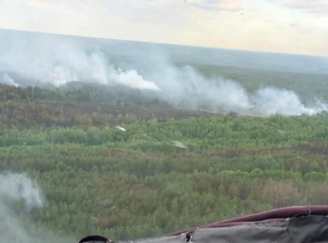 Пожежу у Чорнобильській зоні локалізували, – ДСНС
