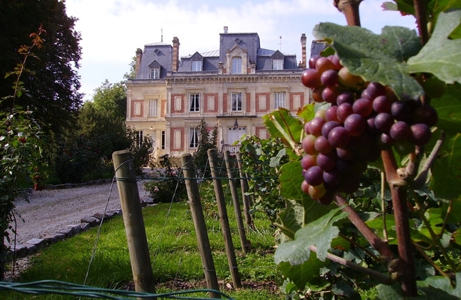 Франція ввела податок на вино