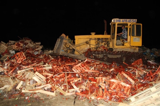 У Росії знищили близько 40 тонн української полуниці