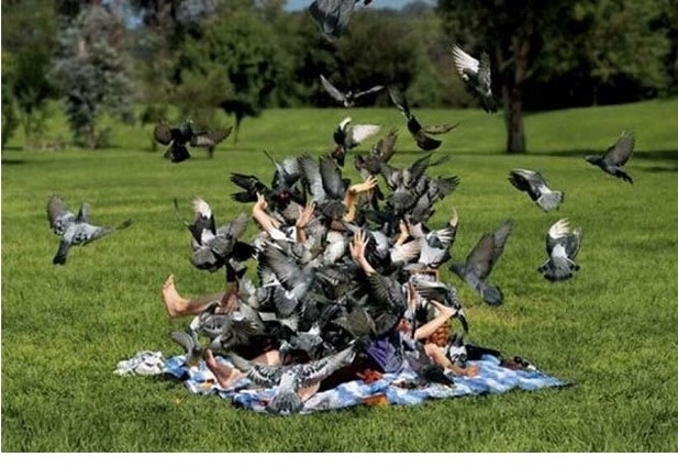 Годувати Донбас - все одно, що годувати голубів