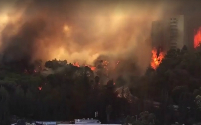 Лесные пожары в Хайфе: власти эвакуировали более 50 тысяч человек, - ВИДЕО