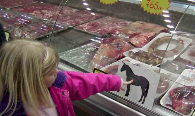У Франції шукають винних у поставках кінського м'яса замість яловичини