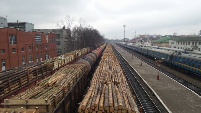 Прикордонники виявили 29 вагонів з лісом на кордоні з Придністров'ям
