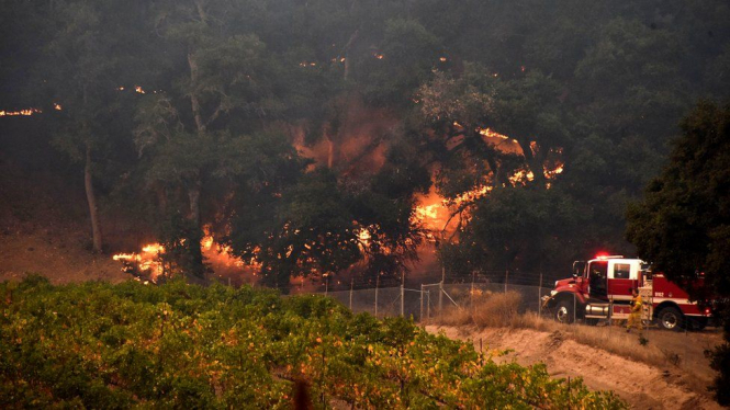 Жертвами лесных пожаров в США стали более 30 человек