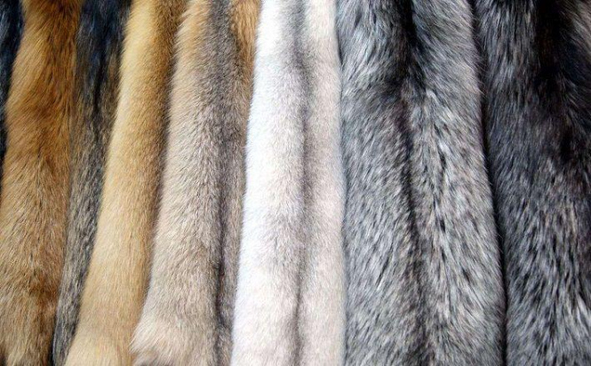 В доме моды Prada заявили об отказе от использования натурального меха