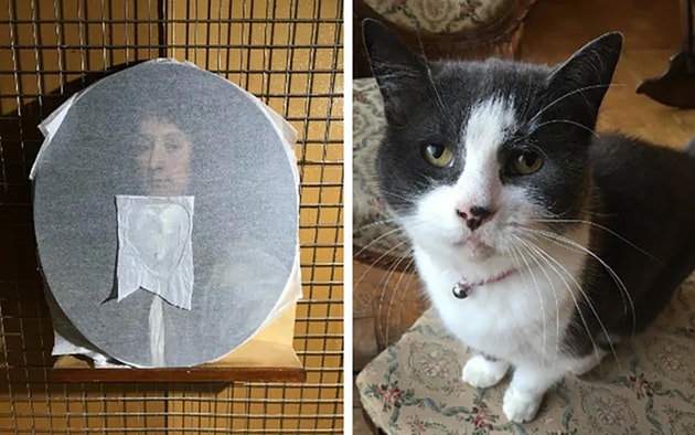 Кішка мистецтвознавця зробила дірку в рідкісній картині XVII століття