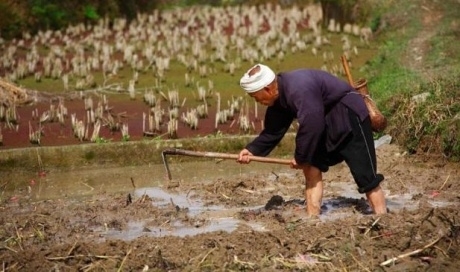 Забайкалье отдает Китаю на 50 лет сотни тысяч гектаров сельхозземель