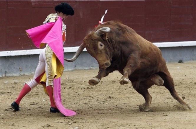 В Іспанії бик вбив матадора