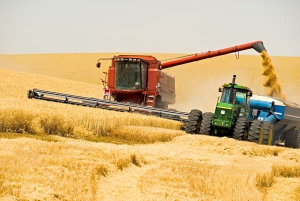 Аграрії намолотили 41 мільйон тонн зерна, - Присяжнюк