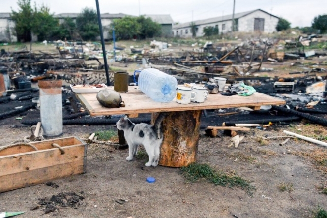 В некоторых селах Луганской области люди находятся на грани вымирания, - Москаль