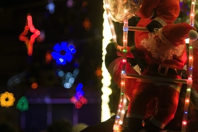 Різдвяна казка у старому Львові: у місті запалили новорічну ялинку