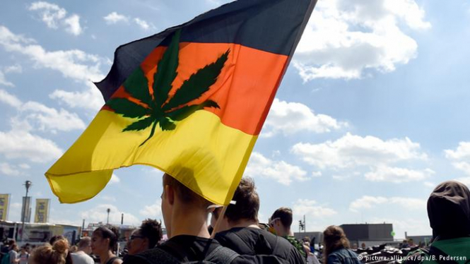 Німеччина легалізувала марихуану в медичних цілях

