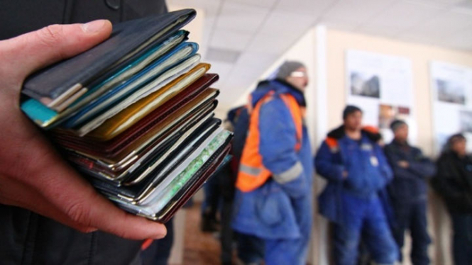 Понад 4% власників Blue Card, що дає дозвіл на перебування і роботу в Німеччині, - українці
