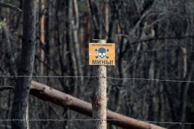На противопехотной мине возле Станицы Луганской подорвалась женщина, - Москаль