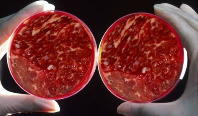 Як технології можуть скоротити споживання м'яса