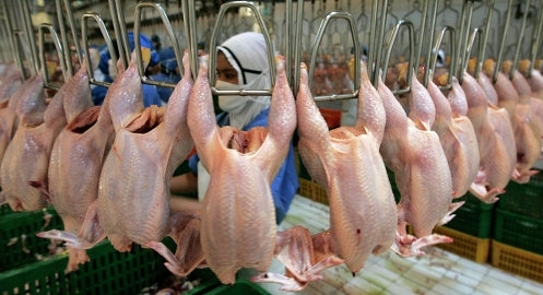 Казахстан тимчасово заборонив ввезення м'яса птиці з України